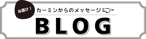 カーミンのブログ