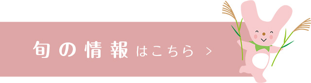 旬の情報はこちら